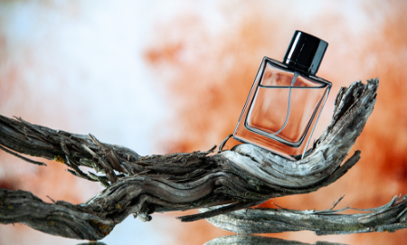 The best Organic Products Online